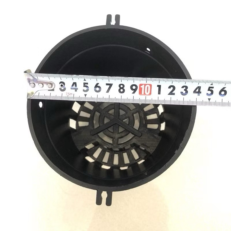 combo 10 chậu lan đen F14