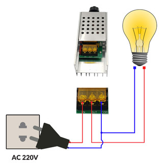 mạch điều tốc 220v 6000w/10000w