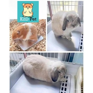 P115 Tấm làm mát - đá tản nhiệt cho Hamster, sóc, nhím, gà Rutin, Guinea Pig (bọ ú, chuột lang), thỏ, chinchilla
