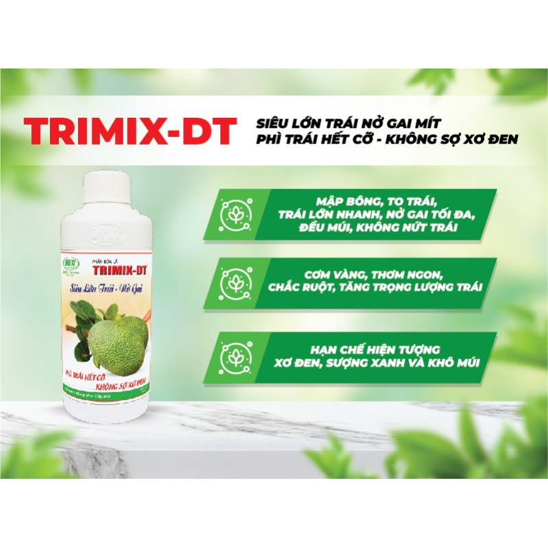 Siêu lớn trái nở gai mít 500ml