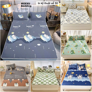 Chiếu Điều Hòa Vải Tencel ,CHIẾU ĐIỀU HÒA TENCEL LATEX TRƠN KÈM 2 VỎ GỐI ĐẦU Hàng Loại 1