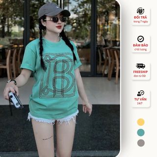  Áo Thun Nữ Form Chuẩn Kenzia Lady Áo Phông Cổ Tròn Basic Cotton 100% Form Hàn Quốc - KA5395 