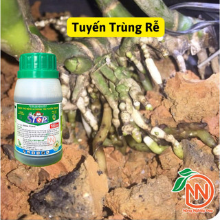 Stop 5SL - Trừ Tuyến Trùng, Tăng Hấp Thu Dinh Dưỡng