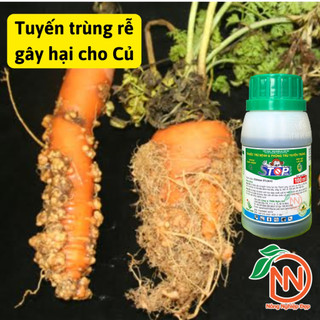 Stop 5SL - Trừ Tuyến Trùng, Tăng Hấp Thu Dinh Dưỡng