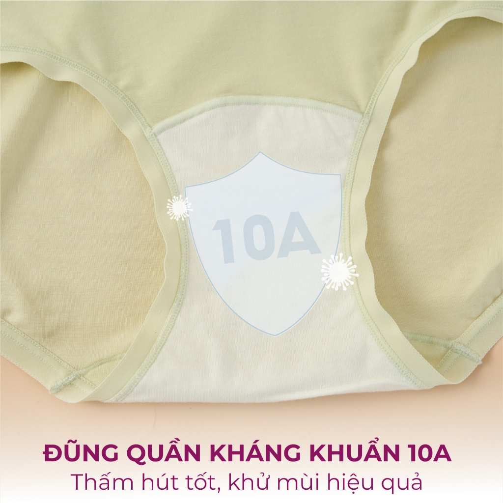 Quần lót nữ TSAM TENCEL 10A Cotton tencel thiên nhiên, thoáng khí, co giãn, kháng khuẩn 10A | BigBuy360 - bigbuy360.vn