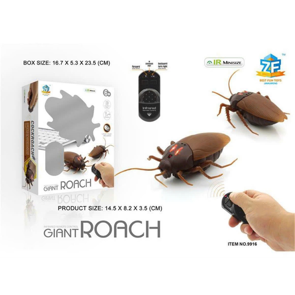 Đồ chơi con gián điều khiển từ xa (9916)