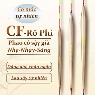 Phao Cỏ Câu Đài - Chuyên câu rô phi, chép, diếc - Fang Fishing  PC4
