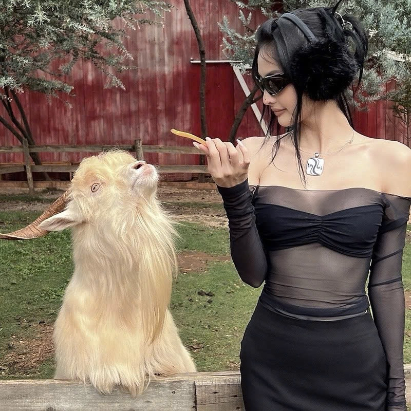 Áo nữ kiểu trễ vai Dokki Doki có mút ngực