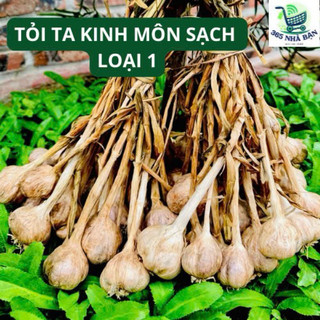  Tỏi ta  tỏi bắc khô Kinh Môn Hải Dương hàng sạch nhà trồng - Loại 1 