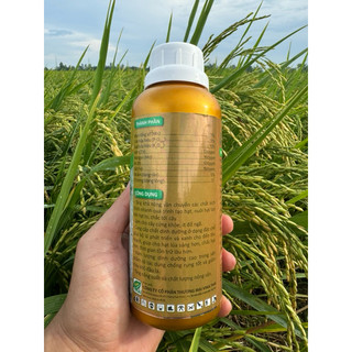 Phân Bón VÔ GẠO SỐ 1 ( Vô Gạo Nhanh, Chắc Hạt, Sáng Hạt, Nặng Ký ) Chai 500ml