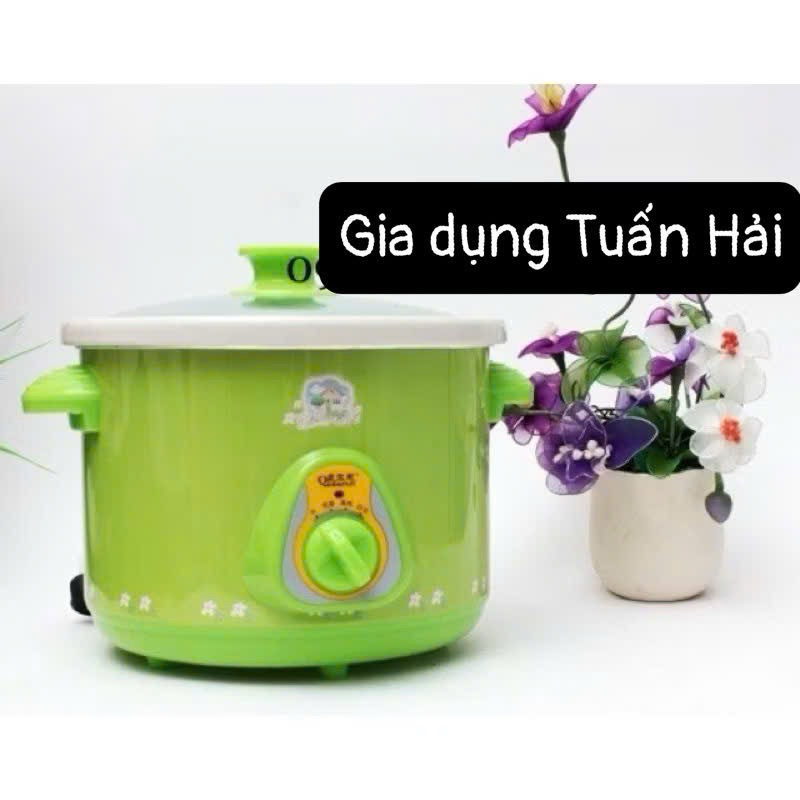 Nồi kho cá, nấu cháo điện đa năng lòng đất nung(nồi màu xanh)