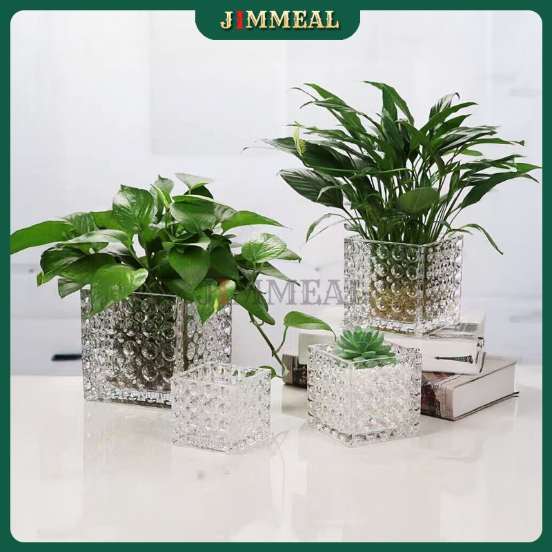 [Bao Vỡ] Chậu Thủy Tinh Vuông Họa Tiết Bong Bóng JIMMEAL Trồng Thủy Canh, Thủy Sinh Cắm Hoa Đựng Nến