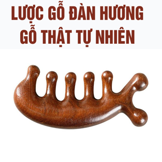 Lược gỗ Đàn Hương Đỏ 2 đầu massage mặt và đầu cao cấp lược gỗ đan hương thậ phiên bản nâng cấpt