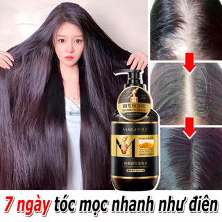 Dầu gội mọc tóc Dầu gội chống rụng tóc Dầu gội gàu 400ml Nuôi dưỡng da đầu cải thiện chất lượng tóc