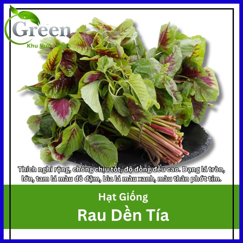 Hạt Giống Rau Dền Tía Nhanh Thu Hoạch, Dễ Trồng, Thích Nghi Rộng (Gói 20 Gam ~ 7000 hạt)