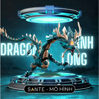  Mô Hình Pet Rồng Thanh Long - Dragon thanh long cangdao 
