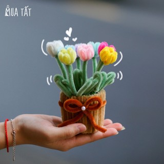   Tự làm-làm sẵn  Set tự làm chậu hoa mini kẽm nhung Mua Tất  muatat.shop  
