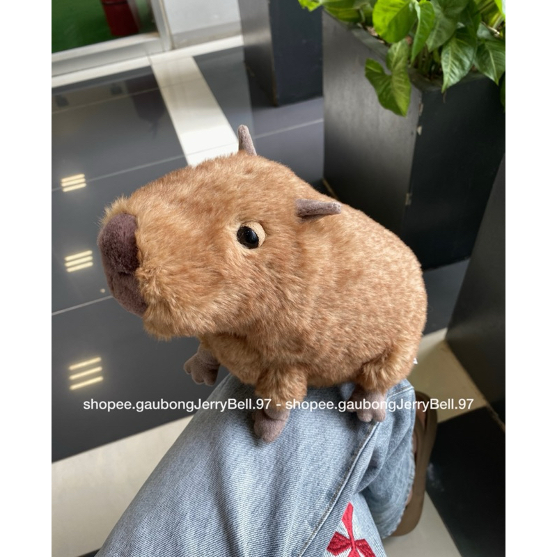 (100% Authentic) Gấu bông chuột lang nước Jellycat Clyde Capybara chính hãng