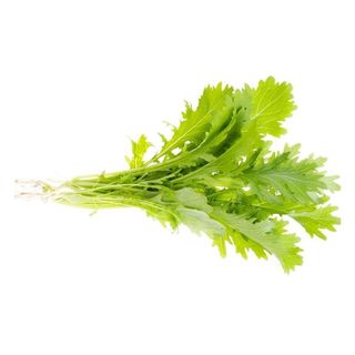 Hạt Giống Cải Đuôi Phụng (Cải Mizuna, Rau Mù Tạt) Dễ Trồng, Nhanh Thu Hoạch