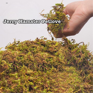 Rêu khô/Đất dừa trang trí chuồng hamster