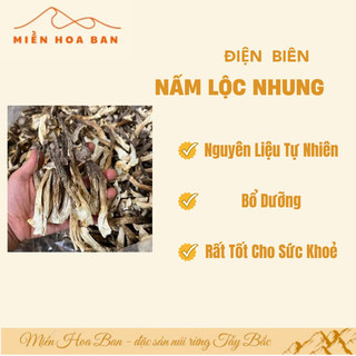 MUA 1 TẶNG 1 QUÀ - 500g Nấm Lộc nhung Hàng Loại 1 Đặc Sản Tây Bắc