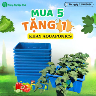 Chậu Trồng Rau (MUA 5 TẶNG 1) - Khay Aquaponics Bền - Trồng Củ Quả, Cây Ăn Trái, Nuôi Cá Sân Thượng