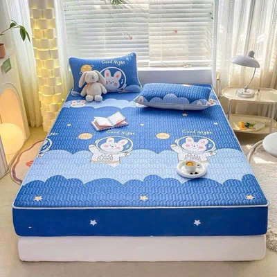 ( Tang 2 vỏ gối) Chiếu điều hoà boc chun vải tencel bodecor mát mẻ, kháng khuẩn, không mùi hôi cao su