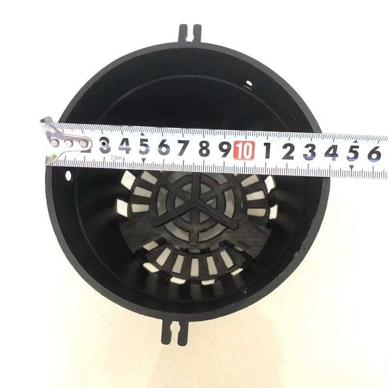 5 chậu lan đen F14