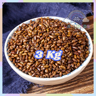 3 kg Hạt Muồng - Đồ chơi xúc cát cho bé