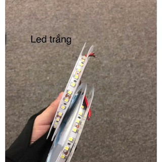Cuộn dây led 12V dài 5 mét