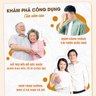 Sâm cau 100g, sâm cau đỏ khô, thái lát, sạch, thơm, hỗ trợ bổ can thận, mạnh gân cốt, tăng cường sinh lý