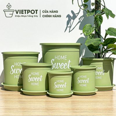 Chậu nhựa trồng cây VIETPOT, màu xanh Mint, hoa văn Sweet Home, trồng hoa kiểng lá, để nhà sân vườn.
