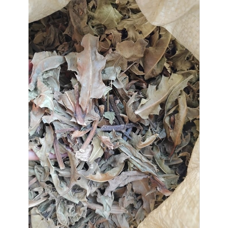 01kg cây  ô rô khô  nhà làm