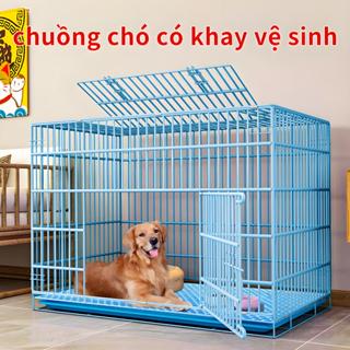 Chuồng Chó Mèo giá rẻ lồng chó Gấp Gọn lồng mèo giá rẻ Khay đủ kích thước S, M, L, XL chuồng mèo