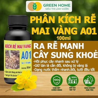 Phân Bón Kích Rễ Mai Vàng GreenHome, Hũ 100ml, Ra Rễ Cực Mạnh Dùng Giâm, Chiết Cành, Chuyên Hoa Mai