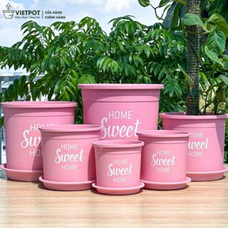 Chậu nhựa trồng cây VIETPOT, màu hồng, hoa văn Sweet Home, trồng hoa kiểng lá, để nhà, sân vườn.