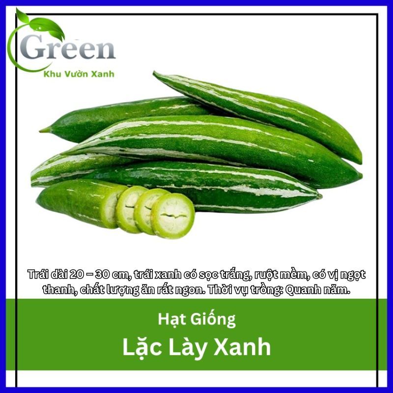 Hạt Giống Lặc Lày Xanh Dễ Trồng Và Chăm Sóc
