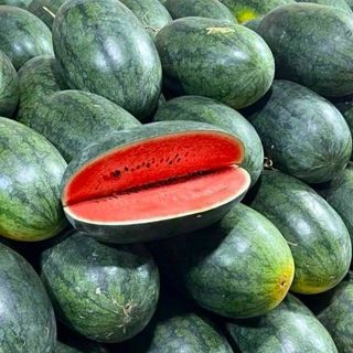 Hạt Giống Dưa Hấu Trái Dài Vỏ Mỏng, Độ Ngọt Cao