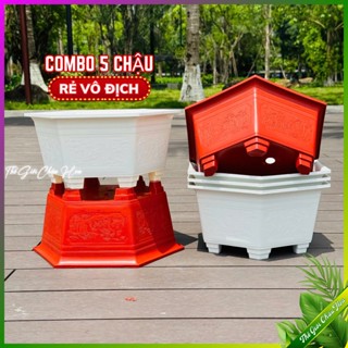 Chậu trồng cây bon sai mini - chậu nhựa ang bon sai lục giác size 31x17cm