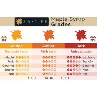 🇨🇦 Maple Syrup 100ml ✦ Vegan 🌱 Organic