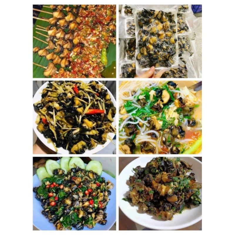 RUỘT ỐC BƯƠU LÀM SẠCH 500g.(giao hỏa tốc)