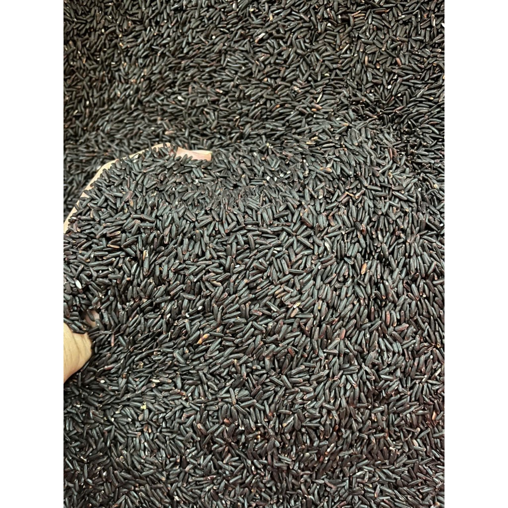 (Sỉ - Hỏa Tốc) 10 KG Gạo Lứt Đen Mềm Dẻo- gạo đóng bao 10kg