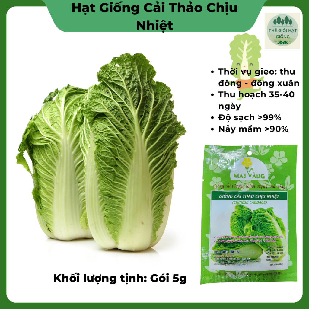 Hạt giống rau cải thảo chịu nhiệt