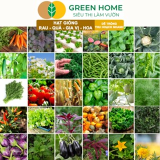 Hạt giống GreenHome, Rau Ăn Lá, Gia Vị, Củ Quả, Các Loại Hoa, Trồng Quanh Năm, Năng Suất Cao