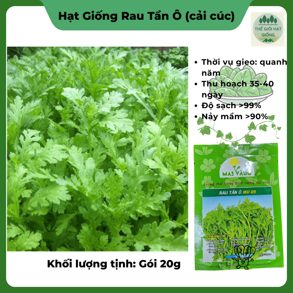 [Gói 20g] Hạt giống Rau Tần Ô (Cải cúc)