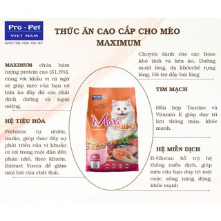 Maximum - 1kg - Thức ăn hạt cho mèo mọi lứa tuổi