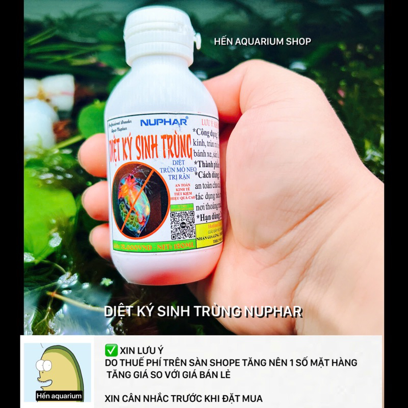 Dung dịch hỗ trợ xử lý trùng mỏ neo - rận cá Nuphar