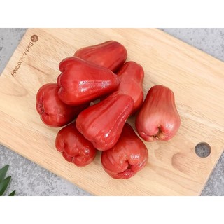 cây giống Mận hồng ST, Dalhari, mận An Phước