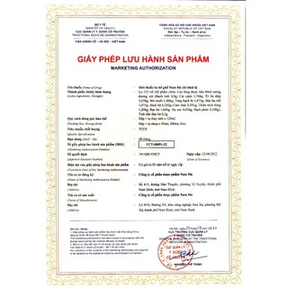 Siro Ho Bổ Phế Nam Hà Chỉ Khái Lộ Hỗ Trợ Giảm Ho Cảm Mạo, Ho Gió, Ho Khan Chai 125ml