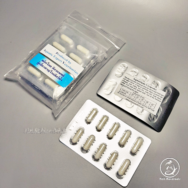 Viên Con Nhộng AQUARIUM-1 [ 1 viên]